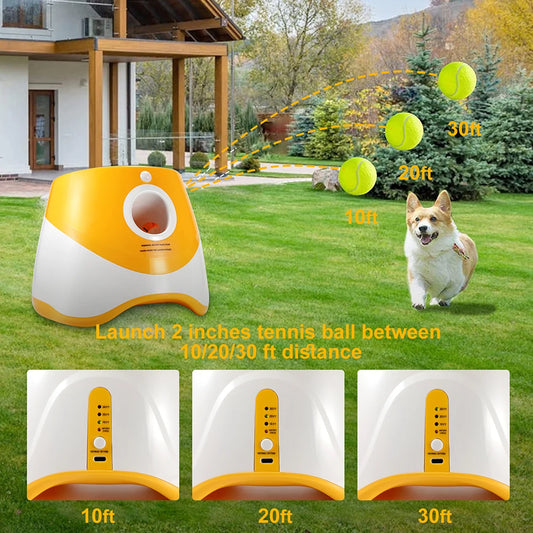 Automatic Dog Ball Launcher + 3 Balls(with Rechargeable Battery)